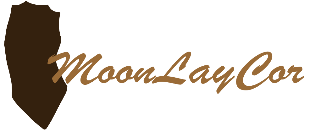 moonlaycorset.shop